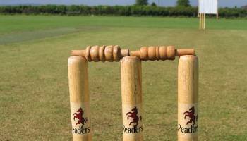 Cricket pitch